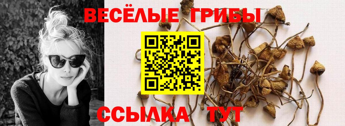 где найти   Псилоцибиновые грибы Magic Shrooms  Вход с VPN  Кстово 