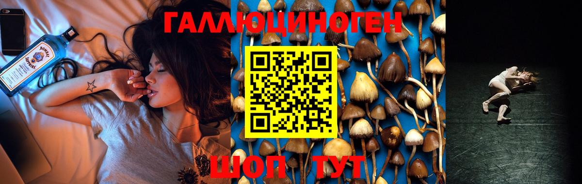 Галлюциногенные грибы прущие грибы Кстово